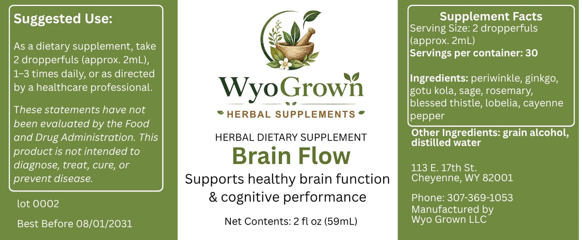 brain flow