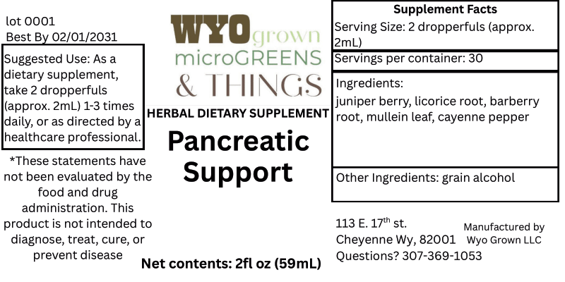 Pancreatic Support
