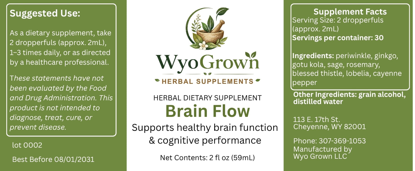 brain flow