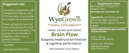 brain flow