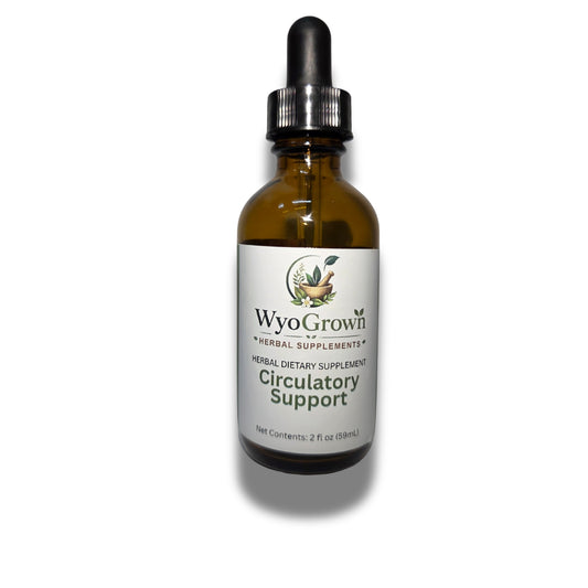 Circulatory Support