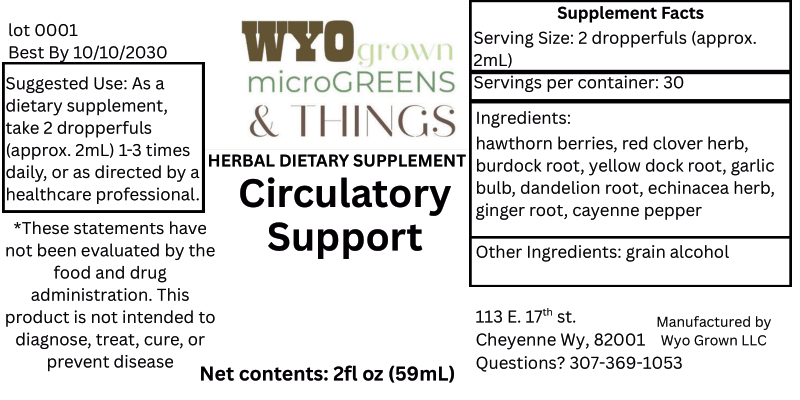 Circulatory Support