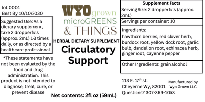Circulatory Support