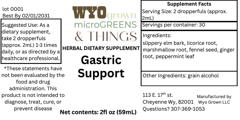 Gastric Support