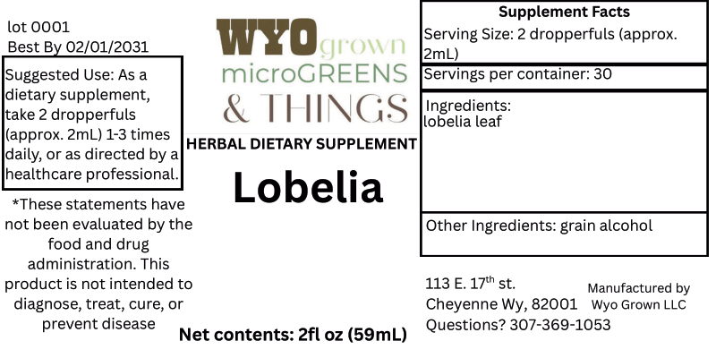 Lobelia