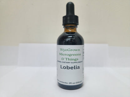Lobelia