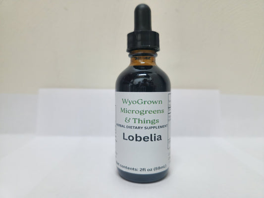 Lobelia