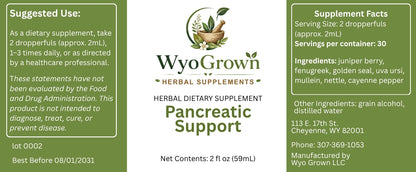 Pancreatic Support